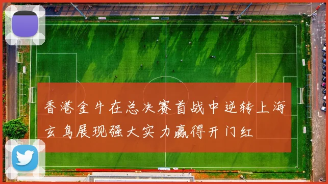 香港金牛在总决赛首战中逆转上海玄鸟展现强大实力赢得开门红